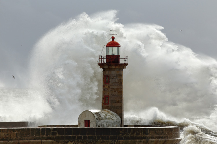 Παραβάν με ψηφιακή εκτύπωση σε βαμβακερό καμβά υψηλής ποιότητας, ειδικό για ψηφιακή εκτύπωση. Ιδανικό για διακόσμηση και σαν διαχωριστικό εσωτερικών χώρων.