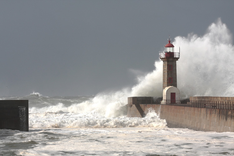 Παραβάν με ψηφιακή εκτύπωση σε βαμβακερό καμβά υψηλής ποιότητας, ειδικό για ψηφιακή εκτύπωση. Ιδανικό για διακόσμηση και σαν διαχωριστικό εσωτερικών χώρων.