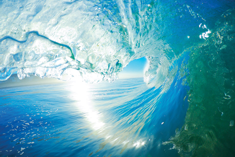 Παραβάν με ψηφιακή εκτύπωση σε βαμβακερό καμβά υψηλής ποιότητας, ειδικό για ψηφιακή εκτύπωση. Ιδανικό για διακόσμηση και σαν διαχωριστικό εσωτερικών χώρων.