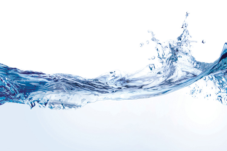 Παραβάν με ψηφιακή εκτύπωση σε βαμβακερό καμβά υψηλής ποιότητας, ειδικό για ψηφιακή εκτύπωση. Ιδανικό για διακόσμηση και σαν διαχωριστικό εσωτερικών χώρων.