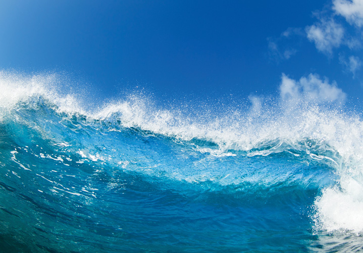 Παραβάν με ψηφιακή εκτύπωση σε βαμβακερό καμβά υψηλής ποιότητας, ειδικό για ψηφιακή εκτύπωση. Ιδανικό για διακόσμηση και σαν διαχωριστικό εσωτερικών χώρων.