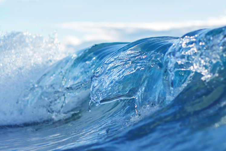 Παραβάν με ψηφιακή εκτύπωση σε βαμβακερό καμβά υψηλής ποιότητας, ειδικό για ψηφιακή εκτύπωση. Ιδανικό για διακόσμηση και σαν διαχωριστικό εσωτερικών χώρων.