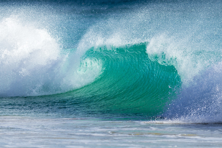 Παραβάν με ψηφιακή εκτύπωση σε βαμβακερό καμβά υψηλής ποιότητας, ειδικό για ψηφιακή εκτύπωση. Ιδανικό για διακόσμηση και σαν διαχωριστικό εσωτερικών χώρων.