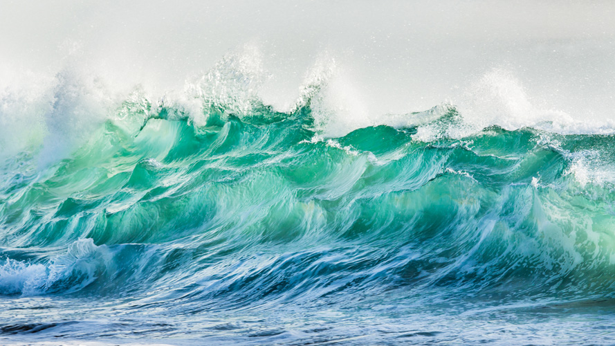 Παραβάν με ψηφιακή εκτύπωση σε βαμβακερό καμβά υψηλής ποιότητας, ειδικό για ψηφιακή εκτύπωση. Ιδανικό για διακόσμηση και σαν διαχωριστικό εσωτερικών χώρων.