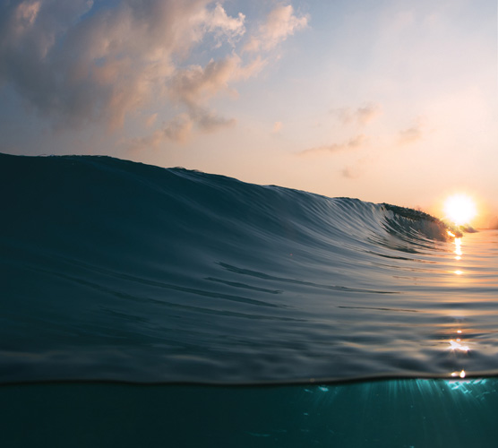 Παραβάν με ψηφιακή εκτύπωση σε βαμβακερό καμβά υψηλής ποιότητας, ειδικό για ψηφιακή εκτύπωση. Ιδανικό για διακόσμηση και σαν διαχωριστικό εσωτερικών χώρων.