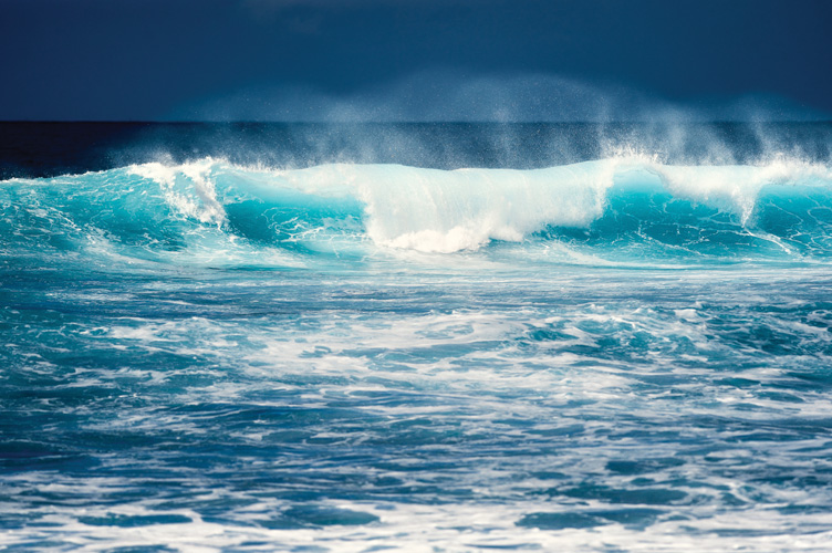 Παραβάν με ψηφιακή εκτύπωση σε βαμβακερό καμβά υψηλής ποιότητας, ειδικό για ψηφιακή εκτύπωση. Ιδανικό για διακόσμηση και σαν διαχωριστικό εσωτερικών χώρων.