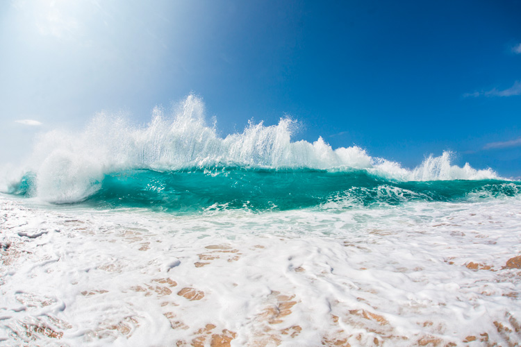Παραβάν με ψηφιακή εκτύπωση σε βαμβακερό καμβά υψηλής ποιότητας, ειδικό για ψηφιακή εκτύπωση. Ιδανικό για διακόσμηση και σαν διαχωριστικό εσωτερικών χώρων.