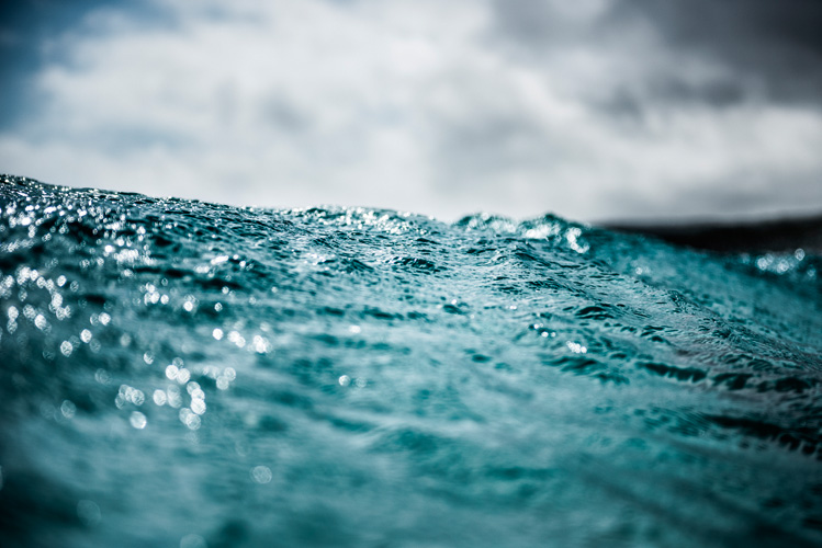 Παραβάν με ψηφιακή εκτύπωση σε βαμβακερό καμβά υψηλής ποιότητας, ειδικό για ψηφιακή εκτύπωση. Ιδανικό για διακόσμηση και σαν διαχωριστικό εσωτερικών χώρων.