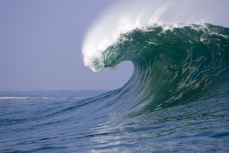Παραβάν με ψηφιακή εκτύπωση σε βαμβακερό καμβά υψηλής ποιότητας, ειδικό για ψηφιακή εκτύπωση. Ιδανικό για διακόσμηση και σαν διαχωριστικό εσωτερικών χώρων.