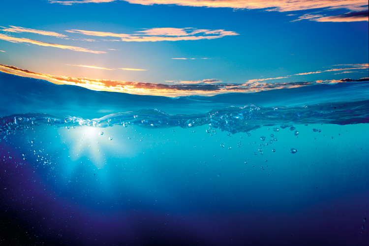 Παραβάν με ψηφιακή εκτύπωση σε βαμβακερό καμβά υψηλής ποιότητας, ειδικό για ψηφιακή εκτύπωση. Ιδανικό για διακόσμηση και σαν διαχωριστικό εσωτερικών χώρων.