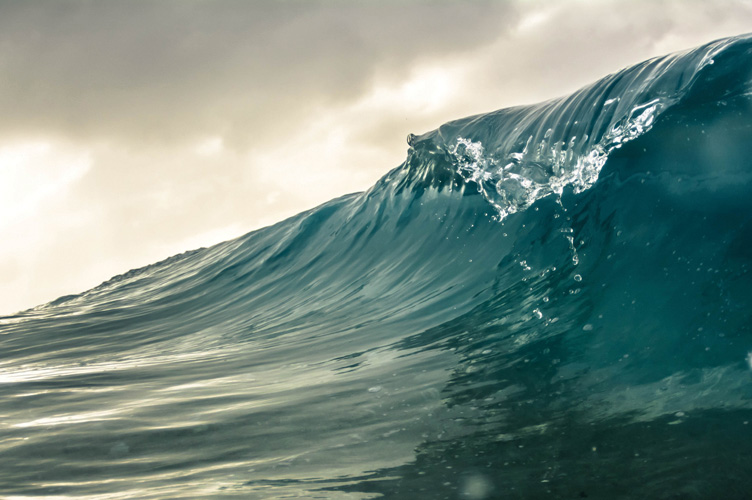 Παραβάν με ψηφιακή εκτύπωση σε βαμβακερό καμβά υψηλής ποιότητας, ειδικό για ψηφιακή εκτύπωση. Ιδανικό για διακόσμηση και σαν διαχωριστικό εσωτερικών χώρων.