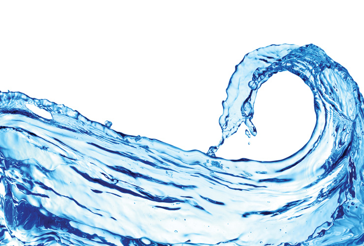 Παραβάν με ψηφιακή εκτύπωση σε βαμβακερό καμβά υψηλής ποιότητας, ειδικό για ψηφιακή εκτύπωση. Ιδανικό για διακόσμηση και σαν διαχωριστικό εσωτερικών χώρων.