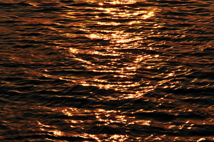 Παραβάν με ψηφιακή εκτύπωση σε βαμβακερό καμβά υψηλής ποιότητας, ειδικό για ψηφιακή εκτύπωση. Ιδανικό για διακόσμηση και σαν διαχωριστικό εσωτερικών χώρων.