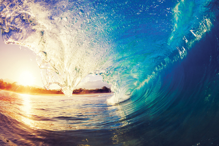 Παραβάν με ψηφιακή εκτύπωση σε βαμβακερό καμβά υψηλής ποιότητας, ειδικό για ψηφιακή εκτύπωση. Ιδανικό για διακόσμηση και σαν διαχωριστικό εσωτερικών χώρων.