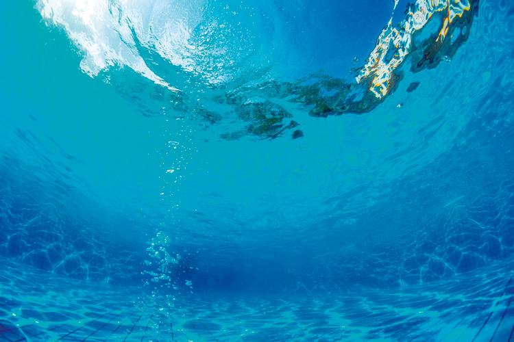 Παραβάν με ψηφιακή εκτύπωση σε βαμβακερό καμβά υψηλής ποιότητας, ειδικό για ψηφιακή εκτύπωση. Ιδανικό για διακόσμηση και σαν διαχωριστικό εσωτερικών χώρων.