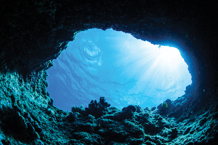 Παραβάν με ψηφιακή εκτύπωση σε βαμβακερό καμβά υψηλής ποιότητας, ειδικό για ψηφιακή εκτύπωση. Ιδανικό για διακόσμηση και σαν διαχωριστικό εσωτερικών χώρων.