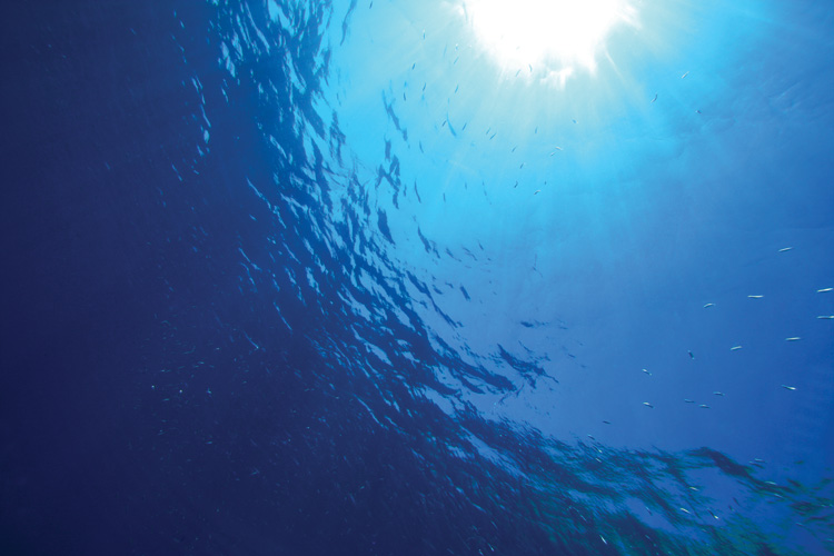 Παραβάν με ψηφιακή εκτύπωση σε βαμβακερό καμβά υψηλής ποιότητας, ειδικό για ψηφιακή εκτύπωση. Ιδανικό για διακόσμηση και σαν διαχωριστικό εσωτερικών χώρων.