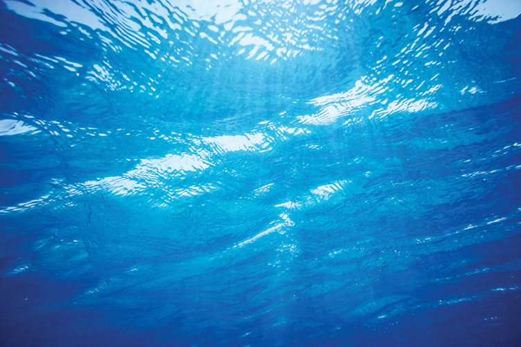 Παραβάν με ψηφιακή εκτύπωση σε βαμβακερό καμβά υψηλής ποιότητας, ειδικό για ψηφιακή εκτύπωση. Ιδανικό για διακόσμηση και σαν διαχωριστικό εσωτερικών χώρων.