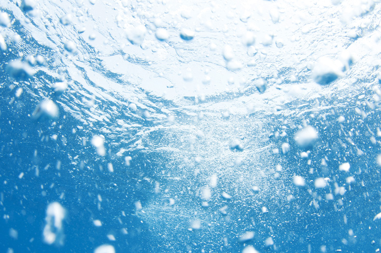 Παραβάν με ψηφιακή εκτύπωση σε βαμβακερό καμβά υψηλής ποιότητας, ειδικό για ψηφιακή εκτύπωση. Ιδανικό για διακόσμηση και σαν διαχωριστικό εσωτερικών χώρων.