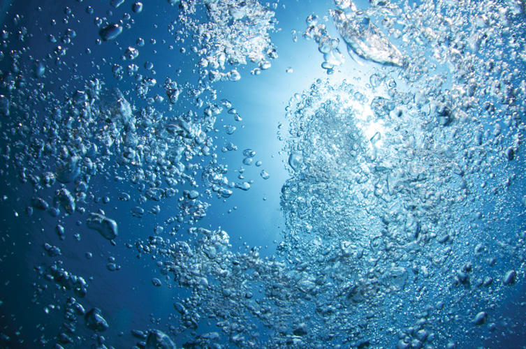 Παραβάν με ψηφιακή εκτύπωση σε βαμβακερό καμβά υψηλής ποιότητας, ειδικό για ψηφιακή εκτύπωση. Ιδανικό για διακόσμηση και σαν διαχωριστικό εσωτερικών χώρων.