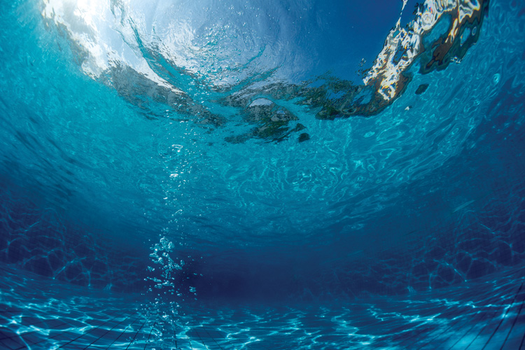 Παραβάν με ψηφιακή εκτύπωση σε βαμβακερό καμβά υψηλής ποιότητας, ειδικό για ψηφιακή εκτύπωση. Ιδανικό για διακόσμηση και σαν διαχωριστικό εσωτερικών χώρων.