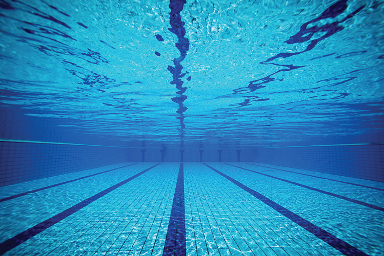 Παραβάν με ψηφιακή εκτύπωση σε βαμβακερό καμβά υψηλής ποιότητας, ειδικό για ψηφιακή εκτύπωση. Ιδανικό για διακόσμηση και σαν διαχωριστικό εσωτερικών χώρων.