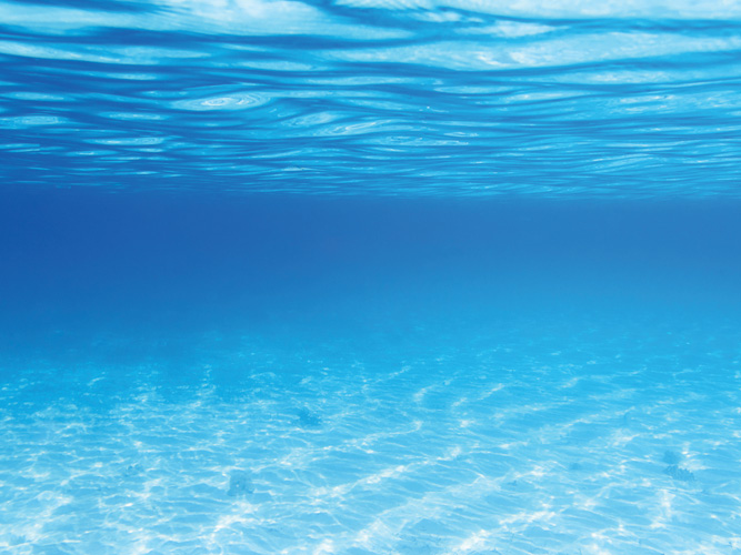 Παραβάν με ψηφιακή εκτύπωση σε βαμβακερό καμβά υψηλής ποιότητας, ειδικό για ψηφιακή εκτύπωση. Ιδανικό για διακόσμηση και σαν διαχωριστικό εσωτερικών χώρων.