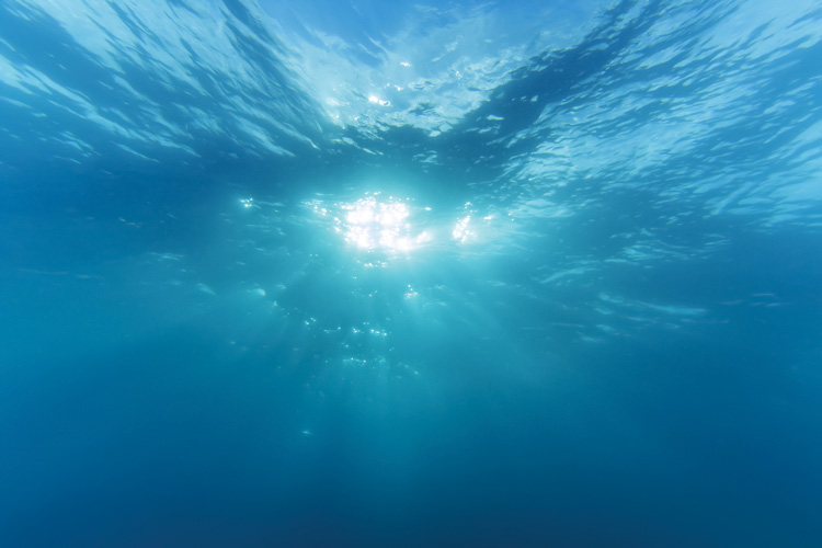 Παραβάν με ψηφιακή εκτύπωση σε βαμβακερό καμβά υψηλής ποιότητας, ειδικό για ψηφιακή εκτύπωση. Ιδανικό για διακόσμηση και σαν διαχωριστικό εσωτερικών χώρων.
