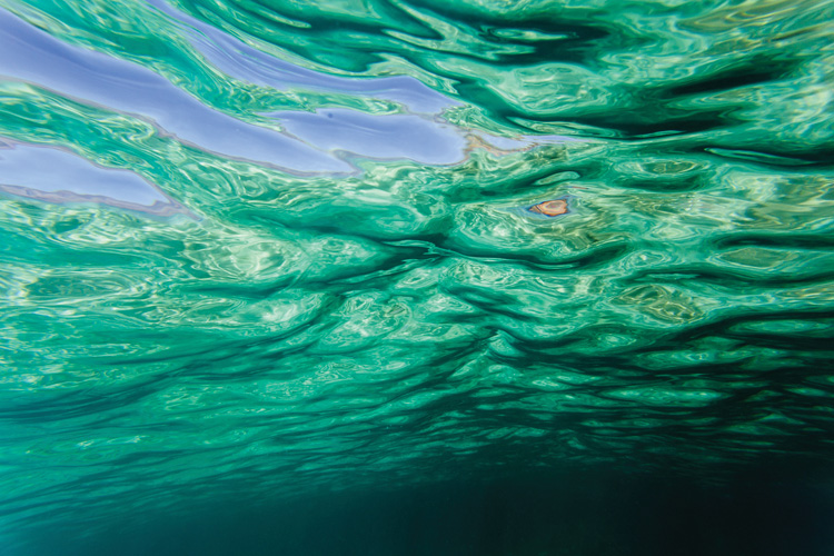 Παραβάν με ψηφιακή εκτύπωση σε βαμβακερό καμβά υψηλής ποιότητας, ειδικό για ψηφιακή εκτύπωση. Ιδανικό για διακόσμηση και σαν διαχωριστικό εσωτερικών χώρων.