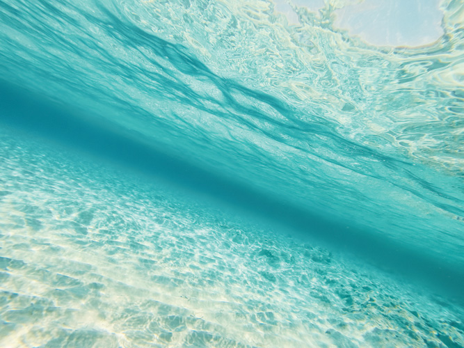 Παραβάν με ψηφιακή εκτύπωση σε βαμβακερό καμβά υψηλής ποιότητας, ειδικό για ψηφιακή εκτύπωση. Ιδανικό για διακόσμηση και σαν διαχωριστικό εσωτερικών χώρων.