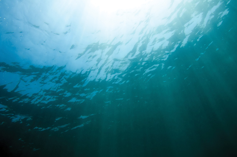Παραβάν με ψηφιακή εκτύπωση σε βαμβακερό καμβά υψηλής ποιότητας, ειδικό για ψηφιακή εκτύπωση. Ιδανικό για διακόσμηση και σαν διαχωριστικό εσωτερικών χώρων.