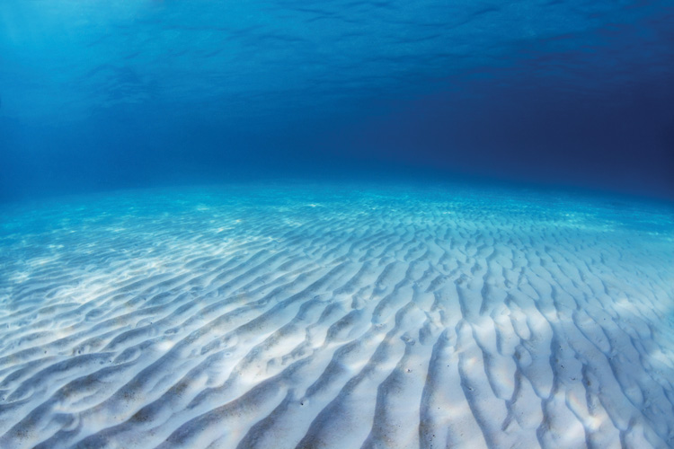 Παραβάν με ψηφιακή εκτύπωση σε βαμβακερό καμβά υψηλής ποιότητας, ειδικό για ψηφιακή εκτύπωση. Ιδανικό για διακόσμηση και σαν διαχωριστικό εσωτερικών χώρων.