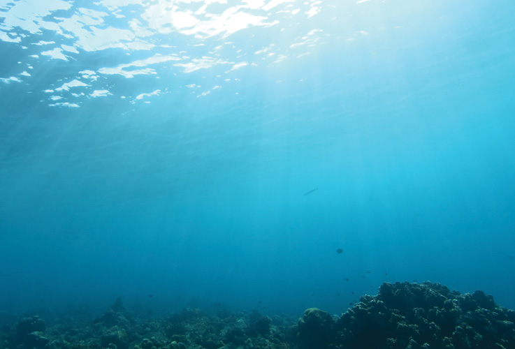 Παραβάν με ψηφιακή εκτύπωση σε βαμβακερό καμβά υψηλής ποιότητας, ειδικό για ψηφιακή εκτύπωση. Ιδανικό για διακόσμηση και σαν διαχωριστικό εσωτερικών χώρων.