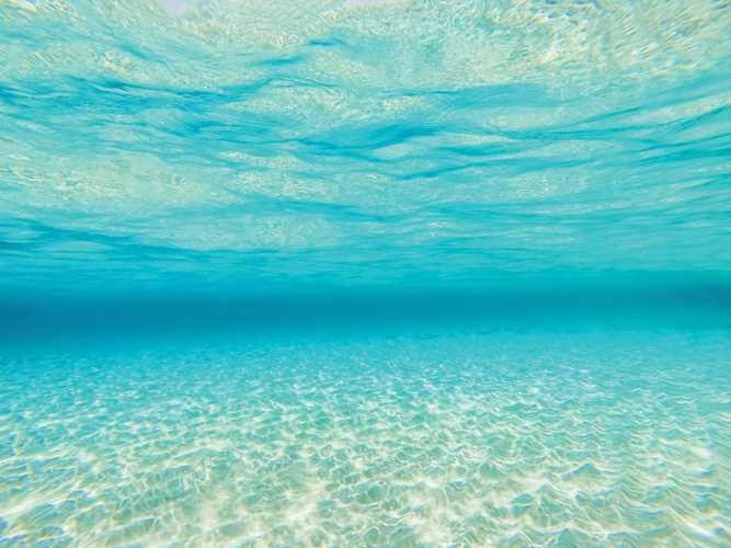 Παραβάν με ψηφιακή εκτύπωση σε βαμβακερό καμβά υψηλής ποιότητας, ειδικό για ψηφιακή εκτύπωση. Ιδανικό για διακόσμηση και σαν διαχωριστικό εσωτερικών χώρων.