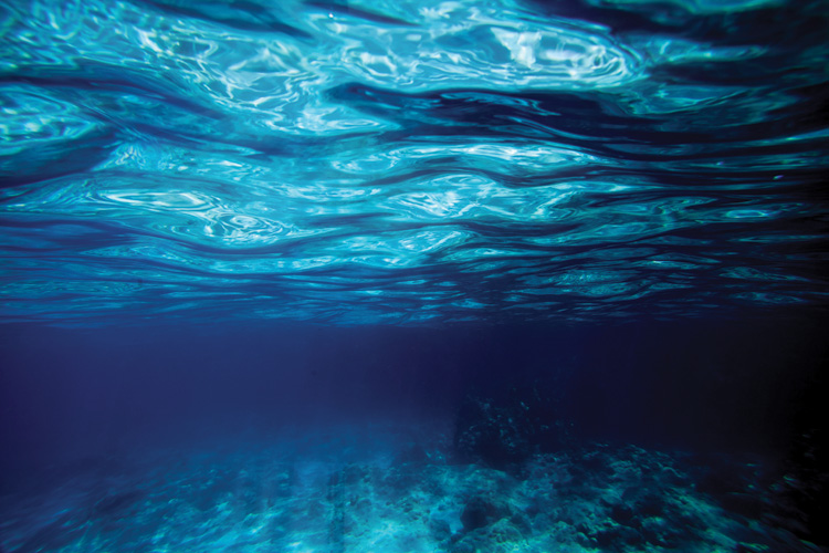 Παραβάν με ψηφιακή εκτύπωση σε βαμβακερό καμβά υψηλής ποιότητας, ειδικό για ψηφιακή εκτύπωση. Ιδανικό για διακόσμηση και σαν διαχωριστικό εσωτερικών χώρων.