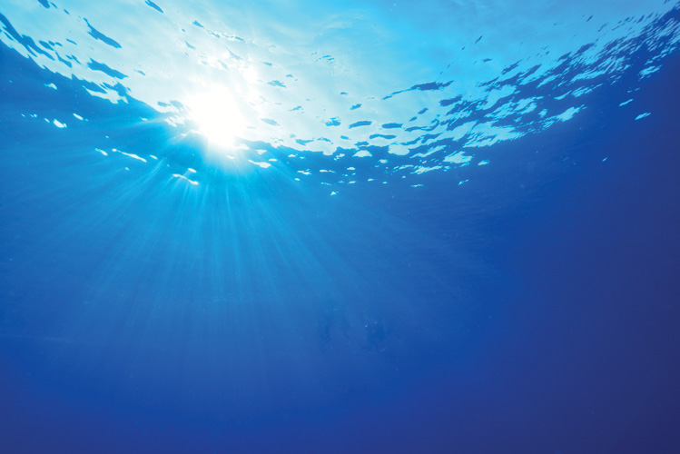 Παραβάν με ψηφιακή εκτύπωση σε βαμβακερό καμβά υψηλής ποιότητας, ειδικό για ψηφιακή εκτύπωση. Ιδανικό για διακόσμηση και σαν διαχωριστικό εσωτερικών χώρων.