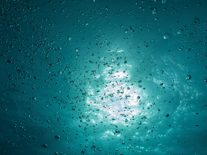 Παραβάν με ψηφιακή εκτύπωση σε βαμβακερό καμβά υψηλής ποιότητας, ειδικό για ψηφιακή εκτύπωση. Ιδανικό για διακόσμηση και σαν διαχωριστικό εσωτερικών χώρων.