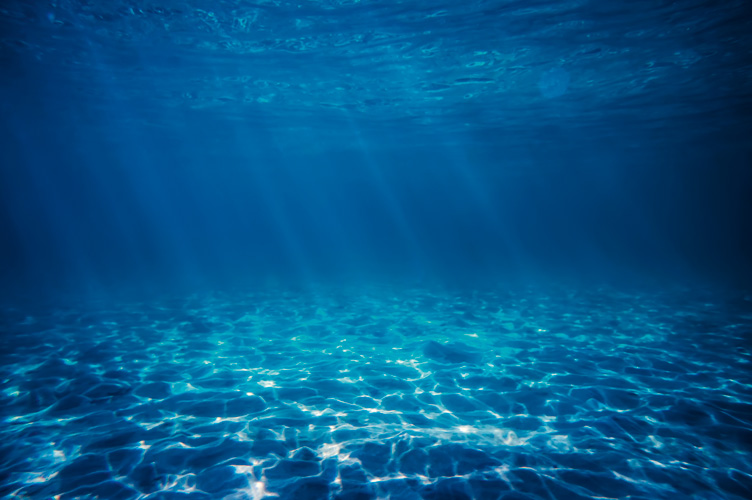 Παραβάν με ψηφιακή εκτύπωση σε βαμβακερό καμβά υψηλής ποιότητας, ειδικό για ψηφιακή εκτύπωση. Ιδανικό για διακόσμηση και σαν διαχωριστικό εσωτερικών χώρων.