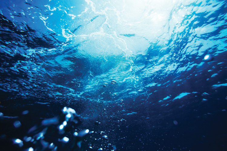 Παραβάν με ψηφιακή εκτύπωση σε βαμβακερό καμβά υψηλής ποιότητας, ειδικό για ψηφιακή εκτύπωση. Ιδανικό για διακόσμηση και σαν διαχωριστικό εσωτερικών χώρων.