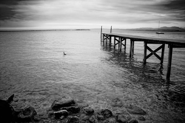 Προτάσεις για διακόσμησηΟ πίνακας σε καμβά BLW-049 αποτελεί μια εξαιρετική επιλογή για τη διακόσμηση ενός χώρου που επιθυμεί να αναδείξει τη μοντέρνα αισθητική και τη διαχρονική κομψότητα. Με τις ασπρόμαυρες αποχρώσεις του, μπορεί να ενσωματωθεί άριστα σε ένα μινιμαλιστικό στυλ, προσδίδοντας μια αίσθηση καθαρότητας και τάξης. Σε έναν κλασικό χώρο, ο πίνακας δημιουργεί μια έντονη αντίθεση, αναδεικνύοντας τα έπιπλα και τις υπόλοιπες διακοσμητικές λεπτομέρειες. Η λιτή, αλλά δυναμική εικόνα του είναι ιδανική για χώρους γραφείων ή σύγχρονα καθιστικά, προσφέροντας μια αίσθηση φινέτσας και εκλεπτυσμένου γούστου.Λίγα λόγια για τον πίνακαΟ πίνακας BLW-049 αποτελεί ένα δείγμα της σύγχρονης τέχνης, όπου η απουσία χρώματος ενισχύει τη δυνάμει της εικόνας και τα συναισθήματα που προκαλεί. Οι αποχρώσεις του μαύρου και του άσπρου δημιουργούν ένταση και βάθος, κατευθύνοντας το βλέμμα του θεατή στις λεπτομέρειες και τις γραμμές της σύνθεσης. Οι υφές και οι αντιθέσεις ενισχύουν τη δραματικότητα της εικόνας, ενώ οι απαλές πινελιές ισορροπούν την αυστηρότητα του συνδυασμού αυτών των δύο χρωμάτων. Το θέμα εστιάζει στην αρμονία και την ισορροπία, μεταδίδοντας μια φιλοσοφική διάθεση.Ο πίνακας αποπνέει μια αίσθηση ηρεμίας και στοχασμού, δημιουργώντας έναν χώρο που προσκαλεί σε εσωτερική αναζήτηση και ανατροφοδότηση. Η ασπρόμαυρη αισθητική του πίνακα σε καμβά μεταφέρει μια βαθιά αίσθηση διαχρονικής απλότητας, καθιστώντας τον ένα κομψό κομμάτι διακόσμησης. Κάθε ματιά στο έργο προσφέρει νέες ερμηνείες και σκέψεις, δημιουργώντας έναν διαρκή διάλογο μεταξύ του έργου και του θεατή.Ψηφιακή εκτύπωση σε καμβά. Ο καμβάς είναι υψηλής ποιότητας, ειδικός για ψηφιακή εκτύπωση που αναδεικνύει τα χρώματα. Είναι ιδανικός για διακόσμηση εσωτερικών χώρων. Παραλαμβάνετε τον πίνακα με την ψηφιακή εκτύπωση καμβά, τελαρωμένο σε τελάρο από ανθεκτικό ξύλο 2εκ, στη διάσταση που θέλετε.