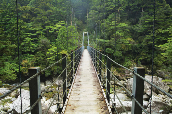 Προτάσεις για διακόσμησηΟ πίνακας σε καμβά BRI-067 με την αριστοκρατική αρχιτεκτονική του, μπορεί να ενσωματωθεί τέλεια σε διάφορα στυλ διακόσμησης, προσδίδοντας κομψότητα και πνεύμα αστικότητας. Σε έναν κλασικό χώρο, οι δομές της πόλης και οι αρχιτεκτονικές γραμμές μπορούν να συνδυαστούν με σκαλιστά έπιπλα και πλούσια υφάσματα. Σε μοντέρνο περιβάλλον, οι καθαρές γραμμές και η απλότητα του πίνακα αναδεικνύουν την αυθεντικότητα του χώρου, ενώ σε ένα μινιμαλιστικό διαμέρισμα, η απλή, αλλά εκλεπτυσμένη απεικόνιση της πόλης δημιουργεί ένα επίκεντρο που μαγνητίζει τα βλέμματα, προσφέροντας ισορροπία και ηρεμία.Λίγα λόγια για τον πίνακαΟ πίνακας BRI-067 αποτυπώνει μια καθηλωτική αστική σκηνή, τονίζοντας τις λεπτομέρειες της αρχιτεκτονικής μέσα από προσεγμένα παιχνίδια φωτός και σκιάς. Η ιστορική σημασία των γεφυρών που απεικονίζονται, φέρει μαζί της μια αίσθηση διαχρονικότητας και συνέχειας. Τα χρώματα κυμαίνονται από γήινους τόνους έως σκιές του γκρι, δημιουργώντας μία αρμονία που μεταφέρει την αίσθηση της πόλης ενώ ταυτόχρονα επιτρέπει στον πίνακα να συνδυαστεί άριστα με διάφορα χρώματα και υλικά του χώρου. Οι πινελιές είναι λεπτές και καλοδουλεμένες, επιτυγχάνοντας μια απτή υφή που προσδίδει βάθος και κίνηση στην εικόνα.Η καλλιτεχνική αίσθηση του πίνακα είναι άμεσα συνδεδεμένη με την εντύπωση της αντοχής και της παρουσίας που διέπουν τις μεγάλες πόλεις. Προκαλεί μια αίσθηση θριάμβου και φιλοδοξίας, μεταφέροντας την αντοχή και την πρόοδο των σύγχρονων αστικών τοπίων. Ο BRI-067 δημιουργεί μια βαθιά σύνδεση με τον θεατή, προκαλώντας σκέψεις για το παρελθόν και το μέλλον της αστικής ζωής. Ο πίνακας σε καμβά δεν είναι απλώς ένα έργο τέχνης, αλλά μια πρόσκληση σε ένα ταξίδι στο κέντρο της αστικής τέχνης και αρχιτεκτονικής.Ψηφιακή εκτύπωση σε καμβά. Ο καμβάς είναι υψηλής ποιότητας, ειδικός για ψηφιακή εκτύπωση που αναδεικνύει τα χρώματα. Είναι ιδανικός για διακόσμηση εσωτερικών χώρων. Παραλαμβάνετε τον πίνακα με την ψηφιακή εκτύπωση καμβά, τελαρωμένο σε τελάρο από ανθεκτικό ξύλο 2εκ, στη διάσταση που θέλετε.