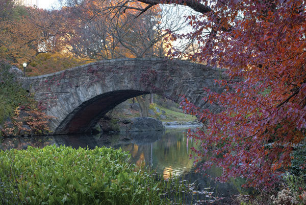 Προτάσεις για διακόσμησηΟ πίνακας σε καμβά CIE-002, που παρουσιάζει θέματα από πόλεις και αρχιτεκτονική, μπορεί εύκολα να ενσωματωθεί σε διάφορα στυλ διακόσμησης εσωτερικού χώρου. Στο κλασικό περιβάλλον, προσδίδει μια πινελιά απόδρασης από το παρελθόν, ενώ στο μοντέρνο στυλ η λεπτομερής απόδοση της αρχιτεκτονικής τονίζει την πολυπλοκότητα και την κομψότητα. Επίσης, για τους λάτρεις του μινιμαλιστικού, οι καθαρές γραμμές και οι γεωμετρικοί συνδυασμοί του πίνακα προσθέτουν μια αίσθηση ηρεμίας και ισορροπίας, ενώ παράλληλα διατηρούν την αισθητική απλότητα. Οι αποχρώσεις αυξάνουν την αίσθηση της εύρυθμης πολυφωνίας, καθιστώντας τον καμβά ιδανικό για οποιοδήποτε χώρο επιθυμείτε να αναδείξετε.Λίγα λόγια για τον πίνακαΟ πίνακας CIE-002 αναδεικνύει τις εντυπωσιακές λεπτομέρειες της αστικής ζωής μέσα από την αριστοτεχνική χρήση της φωτογραφίας. Οι πλούσιες χρωματικές αντιθέσεις και ο δραματικός φωτισμός εξυψώνουν το αστικό θέμα, αιχμαλωτίζοντας το βλέμμα και τονίζοντας την ιδιαίτερη ιδιομορφία της πόλης. Η φωτογραφία εξερευνεί τη σχέση του ανθρώπου με το αστικό περιβάλλον του, αποκαλύπτοντας την πολυπλοκότητα και την δυναμική αυτών των κατασκευών. Η σύνθεση είναι εξισορροπημένη και η αρμονία των χρωμάτων αποκαλύπτει μια συναρπαστική ιστορία πολυμορφικής ζωής.Η φωτογραφία προκαλεί μια βαθιά αίσθηση θαυμασμού και ανακάλυψης. Καθώς παρακολουθείς την εικόνα, νιώθεις να βυθίζεσαι στην καθηλωτική ατμόσφαιρα μιας πόλης που ποτέ δεν κοιμάται. Τα αισθήματα της ζωντάνιας και της κινητικότητας που εκπέμπει ο πίνακας μεταφέρονται άμεσα στον θεατή, αφήνοντάς τον να αναλογιστεί τη συνθετότητα του αστικού τοπίου και την επίδραση του στον κάθε κάτοικο. Αυτή η αίσθηση συνοδευόμενη από μια υποφώσκουσα δόση νοσταλγίας και περιπέτειας ενισχύει τη μαγεία του αστικού περιβάλλοντος.Ψηφιακή εκτύπωση σε καμβά. Ο καμβάς είναι υψηλής ποιότητας, ειδικός για ψηφιακή εκτύπωση που αναδεικνύει τα χρώματα. Είναι ιδανικός για διακόσμηση εσωτερικών χώρων. Παραλαμβάνετε τον πίνακα με την ψηφιακή εκτύπωση καμβά, τελαρωμένο σε τελάρο από ανθεκτικό ξύλο 2εκ, στη διάσταση που θέλετε.