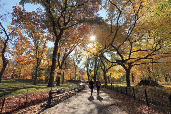 Προτάσεις για διακόσμησηΟ πίνακας σε καμβά CIE-090 αποτελεί ιδανική προσθήκη για κάθε εσωτερικό χώρο, εμπνευσμένος από τις πόλεις και την αρχιτεκτονική. Τα αριστοκρατικά του χρώματα μπορούν να αναδείξουν με μοναδικό τρόπο τόσο ένα κλασικό όσο και ένα μοντέρνο στυλ διακόσμησης, προσδίδοντας μία μοντέρνα αίσθηση αλλά και πνοή ανανέωσης. Είναι εξαιρετικός για έναν μινιμαλιστικό χώρο, καθώς το ξεκάθαρο θέμα του προσθέτει βάθος και ενδιαφέρον. Οι αποχρώσεις του επιτρέπουν να συνδυαστεί άνετα με διάφορες παλέτες χρωμάτων, τονίζοντας οποιοδήποτε δωμάτιο με κομψότητα και στυλ.Λίγα λόγια για τον πίνακαΑυτός ο πίνακας τέχνης σε καμβά αναπαριστά μια σύγχρονη πόλη, με ιδιαίτερη έμφαση στο πολυεπίπεδο αστικό τοπίο και τους πύργους από γυαλί και χάλυβα. Οι καθαρές γραμμές και οι γεωμετρικές μορφές επιτυγχάνουν να συλλάβουν την έμφαση στην ισορροπία και την αρμονία. Ο πίνακας αποτυπώνει την δυναμική του αστικού περιβάλλοντος, εξετάζοντας τη σχέση του ανθρώπου με την αρχιτεκτονική και τον σύγχρονο τρόπο ζωής. Η χρήση του φωτός, ειδικά στα ανακλαστικά μέρη των κτηρίων, συμβολίζει την ελπίδα και την εξέλιξη.Με τη χρήση μικροδιακυμάνσεων στους τόνους του γκρι και του μπλε, ο πίνακας επιτυγχάνει να μεταφέρει μια αίσθηση στιβαρότητας και ηρεμίας, ενώ παράλληλα προβάλλει την ενεργητικότητα και την κίνηση της σύγχρονης ζωής. Με την παρατήρηση του από κοντά, μπορεί κανείς να αισθανθεί τη δύναμη της μεγάλης πόλης καθώς και τις λεπτομέρειες που την συνθέτουν. Το έργο αυτό εκφράζει μια δυνατή σύνδεση με τον θεατή, μεταφέροντας μια βαθιά αίσθηση του αστικού πνεύματος και της σύγχρονης οπτικής του κόσμου.Ψηφιακή εκτύπωση σε καμβά. Ο καμβάς είναι υψηλής ποιότητας, ειδικός για ψηφιακή εκτύπωση που αναδεικνύει τα χρώματα. Είναι ιδανικός για διακόσμηση εσωτερικών χώρων. Παραλαμβάνετε τον πίνακα με την ψηφιακή εκτύπωση καμβά, τελαρωμένο σε τελάρο από ανθεκτικό ξύλο 2εκ, στη διάσταση που θέλετε.