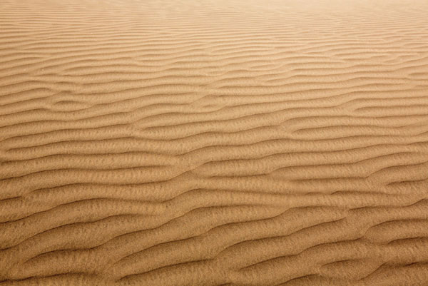 Προτάσεις για διακόσμησηΟ πίνακας σε καμβά DES-018, που ανήκει στην κατηγορία Τοπία και Φύση, μπορεί να ενσωματωθεί άψογα σε διάφορα στυλ διακόσμησης. Σε έναν κλασικό χώρο, η εκτύπωση του τοπίου μπορεί να δώσει μια αυθεντική αίσθηση γαλήνης και ισορροπίας, επιμελώς τοποθετημένη πάνω από έναν παραδοσιακό μπουφέ ή καναπέ. Στον αντίποδα, σε ένα μοντέρνο περιβάλλον, οι φυσικές αποχρώσεις που απεικονίζονται στον πίνακα μπορούν να λειτουργήσουν ως ένα ενδιαφέρον σημείο αντίθεσης, αναδεικνύοντας την λιτότητα και καθαρότητα του μοντέρνου σχεδιασμού. Για το μινιμαλιστικό στυλ, η εικόνα λειτουργεί ως το μοναδικό κομμάτι τέχνης στο δωμάτιο, γεφυρώνοντας την αίσθηση του άδειου χώρου με τη φύση και προσφέροντας ειρηνική διάσταση στο εσωτερικό.Λίγα λόγια για τον πίνακαΑυτός ο πίνακας σε καμβά αποτυπώνει ένα ειδυλλιακό τοπίο, αναδεικνύοντας την πρωταγωνιστική ομορφιά της φύσης. Το έργο αποπνέει ηρεμία, με τις απαλές και φυσικές αποχρώσεις που κυριαρχούν να προσθέτουν μια αίσθηση γαλήνης και συναισθηματικής ισορροπίας. Ο καλλιτέχνης έχει χρησιμοποιήσει λεπτές πινελιές και απαλά μοτίβα για να αναδείξει την αρμονία του φυσικού περιβάλλοντος, αποδίδοντας τη δύναμη του τοπίου μέσα από μια εναλλακτική, δημιουργική προοπτική. Η ρεαλιστική απεικόνιση μαζί με το συναίσθημα που εκλύει, καθιστούν το έργο διαχρονικό και ιδιαίτερα εκφραστικό.Η σύνδεση του πίνακα DES-018 με τον θεατή είναι βαθειά και άμεση. Η ύπαρξη του πίνακα στο χώρο δημιουργεί μια αίσθηση ηρεμίας και αρμονίας, προσφέροντας μια στιγμή διαφυγής από το άγχος και το θόρυβο της καθημερινότητας. Απαλά χρώματα και αντίθεση ανάμεσα σε φως και σκιά προσδίδουν μια διακριτική ζωτικότητα που αγγίζει τη φαντασία και οδηγεί το θεατή σε μια αναζήτηση ενδοσκόπησης και ανακάλυψης. Τα συναισθήματα που προκαλούνται είναι πλούσια, προσφέροντας μια οπτική εμπειρία που αναβαθμίζει τον εσωτερικό χώρο.Ψηφιακή εκτύπωση σε καμβά. Ο καμβάς είναι υψηλής ποιότητας, ειδικός για ψηφιακή εκτύπωση που αναδεικνύει τα χρώματα. Είναι ιδανικός για διακόσμηση εσωτερικών χώρων. Παραλαμβάνετε τον πίνακα με την ψηφιακή εκτύπωση καμβά, τελαρωμένο σε τελάρο από ανθεκτικό ξύλο 2εκ, στη διάσταση που θέλετε.