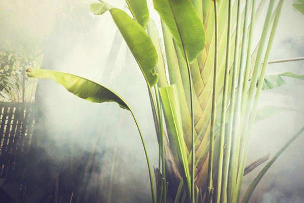 Προτάσεις για διακόσμησηΟ πίνακας σε καμβά FAN-087 προσφέρει ένα ευέλικτο στοιχείο διακόσμησης που μπορεί να ενσωματωθεί εύκολα σε ποικίλα στυλ δωματίων. Σε έναν μοντέρνο χώρο, οι ζωντανές αποχρώσεις του μπορούν να χρησιμεύσουν ως κεντρικό σημείο που προσθέτει χρώμα και δυναμική. Στο πλαίσιο μινιμαλιστικής διακόσμησης, ο πίνακας αυτός παρέχει έναν μοναδικό συνδυασμό φαντασίας και ουδέτερων τόνων που ενισχύουν την απλότητα και την καθαρότητα του χώρου. Σε κλασικά περιβάλλοντα, οι διακριτικές λεπτομέρειες του πίνακα προσθέτουν λεπτότητα και κομψότητα.Λίγα λόγια για τον πίνακαΑυτός ο πίνακας ανήκει στην κατηγορία Φαντασία, και αναδεικνύει έναν ονειρικό κόσμο μέσα από μαγευτικές αποχρώσεις και σκιές. Το καλλιτεχνικό πλαίσιο στο οποίο εγγράφεται θυμίζει την σύγχρονη τάση εξερεύνησης του φανταστικού και του απρόσμενου, δημιουργώντας μια εικόνα που προκαλεί τη φαντασία του θεατή. Τα χρώματα που χρησιμοποιούνται είναι ζωηρά και αντιφατικά, με πινελιές που αποπνέουν μια διάχυτη αίσθηση μαγείας.Ο πίνακας FAN-087 δημιουργεί αίσθηση μυστηρίου και περιπέτειας, καλωσορίζοντας τον θεατή σε έναν κόσμο που ξεπερνά τα όρια της λογικής και απλώνεται στα άδυτα της φαντασίας. Αυτός ο πίνακας σε καμβά ενσωματώνει μια πολυπλοκότητα και βάθος που αντηχούν με τους συναισθηματικούς κραδασμούς της εσωτερικής αναζήτησης του καθενός. Είναι μια πρόσκληση για εσωτερική ανασκόπηση και δημιουργική σκέψη, αναδεικνύοντας την ικανότητά του να προσφέρει μια ξεχωριστή διακοσμητική εμπειρία.Ψηφιακή εκτύπωση σε καμβά. Ο καμβάς είναι υψηλής ποιότητας, ειδικός για ψηφιακή εκτύπωση που αναδεικνύει τα χρώματα. Είναι ιδανικός για διακόσμηση εσωτερικών χώρων. Παραλαμβάνετε τον πίνακα με την ψηφιακή εκτύπωση καμβά, τελαρωμένο σε τελάρο από ανθεκτικό ξύλο 2εκ, στη διάσταση που θέλετε.