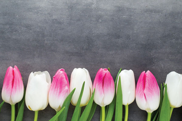 Προτάσεις για διακόσμησηΟ πίνακας σε καμβά FLO-010 με θέμα λουλούδια είναι ιδανικός για να προσδώσει μια δροσερή αντανάκλαση της φύσης στον προσωπικό σας χώρο. Οι λεπτεπίλεπτες απεικονίσεις των λουλουδιών και η αρμονία των χρωμάτων μπορούν να ενσωματωθούν εύκολα σε διάφορα στυλ διακόσμησης. Σε έναν κλασικό χώρο, ο πίνακας προσθέτει μια αιώνια κομψότητα, ενώ σε έναν σύγχρονο ή μοντέρνο χώρο, η φυσική του θεματολογία δημιουργεί μια ευχάριστη αντίθεση με τις καθαρές γραμμές και τις λιτές γραμμές της μοντέρνας αισθητικής. Για μινιμαλιστικούς χώρους, το σημείο εστίασης που προσφέρει η παρουσία του πίνακα μπορεί να εμπλουτίσει την αισθητική, εξισορροπώντας τις λιτές επιφάνειες και τα φυσικά χρώματα.Λίγα λόγια για τον πίνακαΟ πίνακας είναι εκτύπωση σε καμβά που αποδίδει την ομορφιά της φύσης μέσα από επιλογή απαλών και ζωντανών αποχρώσεων. Η χρήση της σκίασης και των φωτεινών στοιχείων δημιουργεί βάθος στη σύνθεση, διατηρώντας τα λουλούδια ως κυρίαρχο στοιχείο, συμβολίζοντας την ανανέωση και τη φυσική ομορφιά. Οι πινελιές και οι υφές του έργου προσθέτουν μια διακριτική δυναμική που συμβάλει σε μια ζωντανή αλλά ταυτόχρονα ήρεμη συνολική σύνθεση.Ο πίνακας προσφέρει μια καθηλωτική εμπειρία, γεμάτη φυσικές εικόνες που γεννούν συναισθήματα χαλάρωσης και ευελιξίας. Εμπνέει μια βαθιά σύνδεση με τη φύση, μεταφέροντας θετικά συναισθήματα και ηρεμία σε οποιοδήποτε δωμάτιο τοποθετηθεί. Η εμπειρία του θεατή πλουτίζεται από μια αίσθηση της αέναης ζωτικότητας και της φυσικής ευγένειας που αποπνέει το θέμα του πίνακα. Αποκαλύπτει την προσωρινή αλλά αέναη ομορφιά του φυσικού κόσμου.Ψηφιακή εκτύπωση σε καμβά. Ο καμβάς είναι υψηλής ποιότητας, ειδικός για ψηφιακή εκτύπωση που αναδεικνύει τα χρώματα. Είναι ιδανικός για διακόσμηση εσωτερικών χώρων. Παραλαμβάνετε τον πίνακα με την ψηφιακή εκτύπωση καμβά, τελαρωμένο σε τελάρο από ανθεκτικό ξύλο 2εκ, στη διάσταση που θέλετε.