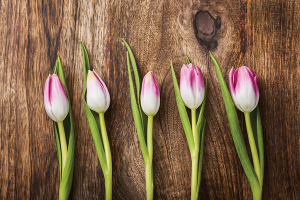 Προτάσεις για διακόσμησηΟ πίνακας σε καμβά FLO-040 με θέμα τα λουλούδια μπορεί να ενσωματωθεί ιδανικά σε διάφορα στυλ διακόσμησης, φέρνοντας έναν αέρα φρεσκάδας και φυσικότητας σε οποιονδήποτε χώρο. Σε ένα κλασικό περιβάλλον, οι λεπτές αποχρώσεις και τα ρομαντικά μοτίβα των λουλουδιών θα συμπληρώσουν την κομψότητα και την αιωνιότητα των παραδοσιακών στοιχείων. Σε ένα μοντέρνο σαλόνι, μπορεί να λειτουργήσει ως το κεντρικό στοιχείο που δεσπόζει και τραβάει τα βλέμματα, ενσωματώνοντας φυσικές νότες σε ένα δυναμικό και άψογα σχεδιασμένο σύνολο. Επίσης, σε έναν μινιμαλιστικό χώρο, ο πίνακας με τα λουλούδια μπορεί να αποτελέσει τη μοναδική πινελιά χρώματος και ζωντάνιας, προσφέροντας ισορροπία και γοητεία.Λίγα λόγια για τον πίνακαΟ πίνακας σε καμβά FLO-040 ξεχωρίζει για την ευαισθησία στην απόδοση λεπτομερειών και την αρμονία των χρωμάτων που απεικονίζει. Τα φωτεινά και ζωντανά χρώματα των λουλουδιών τονίζουν το σχήμα και την υφή τους, δημιουργώντας μία εικόνα γεμάτη ενέργεια και ζωή. Αναδεικνύεται το παιχνίδι φωτός και σκιάς, προσδίδοντας διάσταση και βάθος στην εικόνα. Τα λουλούδια συμβολίζουν την ομορφιά και την αναγέννηση, θεματικά ενσωματώνοντας την ιδέα της φυσικής ομορφιάς και της ανανέωσης. Η ψηφιακή αποτύπωση σε καμβά υλοποιεί με ακρίβεια τις λεπτομέρειες της φωτογραφίας, κάνοντας τον πίνακα να μοιάζει σχεδόν αληθινός.Ο πίνακας δημιουργεί μια αίσθηση ηρεμίας και ευφορίας. Η απεικόνιση των λουλουδιών μεταφέρει μια βαθιά αίσθηση γαλήνης και φυσικής ομορφιάς που μπορεί να αγγίξει τον θεατή. Η σύνθεση των στοιχείων προσφέρει μια οπτική ανάπαυση από την καθημερινότητα, κατευθύνοντας τη σκέψη σ'' έναν κόσμο γεμάτο χρώμα και ζωή. Αυτή η συναισθηματική σύνδεση με τη φύση μπορεί να προσφέρει ανακούφιση και αναζωογόνηση σε κάθε χώρο όπου ο πίνακας είναι τοποθετημένος.Ψηφιακή εκτύπωση σε καμβά. Ο καμβάς είναι υψηλής ποιότητας, ειδικός για ψηφιακή εκτύπωση που αναδεικνύει τα χρώματα. Είναι ιδανικός για διακόσμηση εσωτερικών χώρων. Παραλαμβάνετε τον πίνακα με την ψηφιακή εκτύπωση καμβά, τελαρωμένο σε τελάρο από ανθεκτικό ξύλο 2εκ, στη διάσταση που θέλετε.