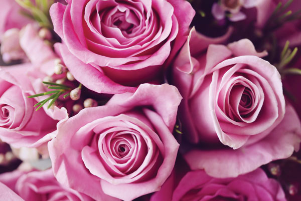 Προτάσεις για διακόσμησηΟ πίνακας σε καμβά FLO-046 είναι ιδανικός για να ενσωματωθεί σε μια πληθώρα διακοσμητικών στυλ. Για έναν κλασικό χώρο, τα απαλά χρώματα των λουλουδιών προσθέτουν μια διακριτική κομψότητα που συμπληρώνει τα παραδοσιακά στοιχεία και τις αρχοντικές επίπλωσεις. Σε ένα πιο μοντέρνο σκηνικό, ο πίνακας αναδεικνύει τον χώρο με τις σύγχρονες γραμμές και την φωτεινή του παλέτα, δημιουργώντας εντυπωσιακές αντιθέσεις. Επιπλέον, σε έναν μινιμαλιστικό χώρο, η απλότητα και η φυσικότητα των λουλουδιών λειτουργούν ως ιδανικό σημείο εστίασης, προσδίδοντας ζωντάνια και ισορροπία στην καθαρή ατμόσφαιρα του δωματίου.Λίγα λόγια για τον πίνακαΗ ψηφιακή εκτύπωση σε καμβά FLO-046 ανήκει στην κατηγορία Λουλούδια και ενσωματώνει μια γοητευτική σύνθεση με εικονιζόμενα λουλούδια, αποδίδοντας μια αίσθηση φρεσκάδας και ανανέωσης. Οι απαλές αποχρώσεις σε συνδυασμό με την επιτυχημένη χρήση των φωτεινών και σκούρων τόνων συμβάλλουν στη δημιουργία μιας ισορροπημένης σύνθεσης που αναδεικνύει κάθε λεπτομέρεια. Η ακρίβεια στη λεπτομέρεια και η υφή του καμβά προσθέτουν βάθος στην εικόνα, δημιουργώντας μια αίσθηση πραγματικότητας και χωρικότητας. Ο πίνακας μπορεί να δώσει μια ζωντανή χρωματική νότα χωρίς να καταλαμβάνει το οπτικό πεδίο υπερβολικά.Ο πίνακας μεταφέρει μια εκλεπτυσμένη αίσθηση ηρεμίας και γαλήνης, καταφέρνοντας να σαγηνεύσει το βλέμμα θεατή. Η πολύπλευρη παρουσίαση των λουλουδιών επιτρέπει στον παρατηρητή να αναλύσει και να αναλογιστεί την εγγενή ομορφιά της φύσης. Και μέσα από τις λεπτομέρειες της κάθε πέταλου, ο θεατής προσφέρει μια στιγμή διαφυγής σε έναν κόσμο αρμονίας και φυσικής τελειότητας. Το έργο αυτό, με την απλότητά του, δημιουργεί μια βαθιά σύνδεση με το θεατή, προσφέροντάς του μια προσωπική στιγμή ηρεμίας και στοχασμού.Ψηφιακή εκτύπωση σε καμβά. Ο καμβάς είναι υψηλής ποιότητας, ειδικός για ψηφιακή εκτύπωση που αναδεικνύει τα χρώματα. Είναι ιδανικός για διακόσμηση εσωτερικών χώρων. Παραλαμβάνετε τον πίνακα με την ψηφιακή εκτύπωση καμβά, τελαρωμένο σε τελάρο από ανθεκτικό ξύλο 2εκ, στη διάσταση που θέλετε.