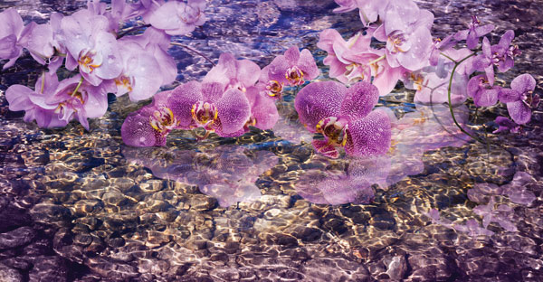 Προτάσεις για διακόσμησηΟ πίνακας σε καμβά FLOC-157 μπορεί να χρησιμοποιηθεί για να προσδώσει μια ρομαντική και χαλαρωτική πινελιά σε οποιονδήποτε εσωτερικό χώρο. Σε ένα κλασικό στυλ διακόσμησης, οι αποχρώσεις των λουλουδιών μπορεί να συνδυαστούν με αντίκες και παραδοσιακά έπιπλα, κάνοντας τον χώρο να φαίνεται πιο φωτεινός και φιλόξενος. Σε έναν μοντέρνο ή μινιμαλιστικό χώρο, ο πίνακας αυτός μπορεί να λειτουργήσει ως κεντρικό σημείο, χαρίζοντας ζωντάνια και πλούσια χρώματα, σπάζοντας την απλότητα των γραμμών και τονίζοντας την αρμονία μεταξύ φύσης και σύγχρονων στοιχείων.Λίγα λόγια για τον πίνακαΑυτός ο πίνακας αποτελεί μια ψηφιακή εκτύπωση που αποδίδει πανέμορφες απεικονίσεις λουλουδιών. Με την προσεκτική χρήση φωτεινών και ζωντανών χρωμάτων, ο δημιουργός του έχει καταφέρει να αποδώσει έναν ύμνο στη φυσική ομορφιά και την αρμονία που η φύση προσφέρει. Οι πινελιές είναι ευγενικές και ρέουν, δημιουργώντας ένα αίσθημα γαλήνης και ισορροπίας. Η σύνθεση συνδυάζει άριστα τις αποχρώσεις των λουλουδιών με έναν ουδέτερο φόντο, ώστε να αναδεικνύονται οι λεπτομέρειες και η ζωτικότητα του θέματος.Ο πίνακας δημιουργεί μια αίσθηση ηρεμίας και ευεξίας με τη φυσική του ομορφιά και την ισορροπημένη του χρωματική παλέτα. Η ατμόσφαιρα που αποπνέει είναι εξαιρετικά χαλαρωτική, επιτρέποντας στον θεατή να απομακρυνθεί από την καθημερινή ένταση και το άγχος. Αυτό το έργο τέχνης όχι μόνο μαγνητίζει το βλέμμα, αλλά και ενισχύει τη σύνδεση του θεατή με τη φύση, προσφέροντας μια μοναδική εμπειρία παρατήρησης και χαλάρωσης.Ψηφιακή εκτύπωση σε καμβά. Ο καμβάς είναι υψηλής ποιότητας, ειδικός για ψηφιακή εκτύπωση που αναδεικνύει τα χρώματα. Είναι ιδανικός για διακόσμηση εσωτερικών χώρων. Παραλαμβάνετε τον πίνακα με την ψηφιακή εκτύπωση καμβά, τελαρωμένο σε τελάρο από ανθεκτικό ξύλο 2εκ, στη διάσταση που θέλετε.