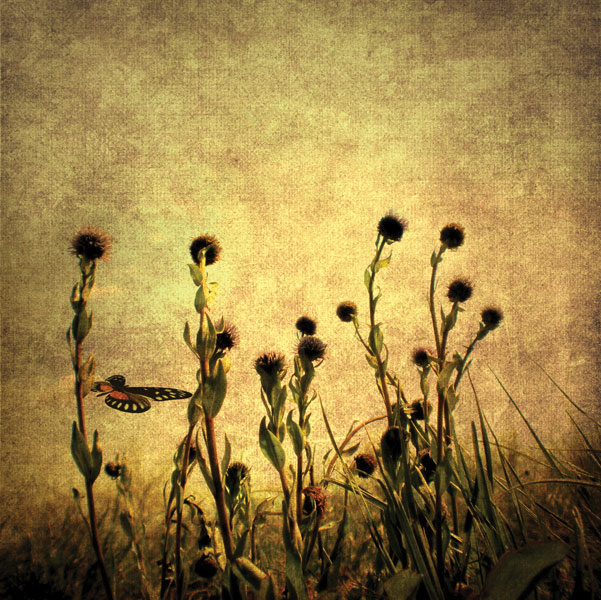 Προτάσεις για διακόσμησηΟ πίνακας σε καμβά FLOC-166 με θέμα λουλούδια αποτελεί μια εξαιρετική προσθήκη για κάθε χώρο που ζητά μια πινελιά φρεσκάδας και ομορφιάς. Με τις απαλές του αποχρώσεις και το φυσικό του μοτίβο, μπορεί εύκολα να ενσωματωθεί σε ένα κλασικό στυλ διακόσμησης προσφέροντας έναν αέρα κομψότητας. Στον αντίποδα, η απλότητα της σύνθεσης και η καθαρότητα των γραμμών του τον καθιστούν ιδανικό για μοντέρνους και μινιμαλιστικούς χώρους, προσθέτοντας χρώμα χωρίς να δημιουργεί υπερβολές. Ο πίνακας σε καμβά αυτός μπορεί να λειτουργήσει ως το κεντρικό κομμάτι σε ένα καθιστικό ή ως ήρεμη προσθήκη σε έναν υπνοδωμάτιο, δημιουργώντας έναν γαλήνιο και αναζωογονητικό περιβάλλον.Λίγα λόγια για τον πίνακαΗ σύνθεση FLOC-166 είναι ένα έργο που φωτίζει τα φυσικά κάλλη και τη λεπτομέρεια των λουλουδιών. Οι απαλές πινελιές και οι οργανικές υφές υπενθυμίζουν μια ζωγραφική προσέγγιση που τιμά τα πρότυπα του ιμπρεσιονισμού, απεικονίζοντας τη ρομαντική σύνδεση μεταξύ ανθρώπου και φύσης. Τα χρώματα κινούνται σε γήινους και ήρεμους τόνους, συνδυάζοντας το υδάτινο με το καλοκαιρινό φως. Η συμμετρία και οι αρμονικές αναλογίες του πίνακα συμβάλλουν στη δημιουργία μιας αισθητικής ισορροπίας που γαληνεύει το μάτι και το πνεύμα.Ο πίνακας μεταφέρει μια βαθιά αίσθηση ειρήνης και ευφορίας, που τον καθιστά ιδανικό σύντροφο για στιγμές χαλάρωσης. Οι λεπτεπίλεπτες διαβαθμίσεις των χρωμάτων και τα φυσικά μοτίβα εκφράζουν μια αίσθηση αναζωογόνησης, αφήνοντας τον θεατή να ταξιδέψει νοερά σε έναν ιδανικό, φυσικό κόσμο. Η εμπειρία του να περιεργάζεται κανείς αυτόν τον πίνακα σε καμβά προσφέρει μια αίσθηση εσωτερικής ηρεμίας και σύνδεσης με την απλότητα της φύσης, κάνοντας τον θεατή να επανεκτιμήσει την ομορφιά του φυσικού κόσμου γύρω μας.Ψηφιακή εκτύπωση σε καμβά. Ο καμβάς είναι υψηλής ποιότητας, ειδικός για ψηφιακή εκτύπωση που αναδεικνύει τα χρώματα. Είναι ιδανικός για διακόσμηση εσωτερικών χώρων. Παραλαμβάνετε τον πίνακα με την ψηφιακή εκτύπωση καμβά, τελαρωμένο σε τελάρο από ανθεκτικό ξύλο 2εκ, στη διάσταση που θέλετε.